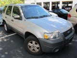 2005 Silver Metallic Ford Escape XLS #50085452