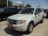 2009 Ford Escape XLT V6 4WD