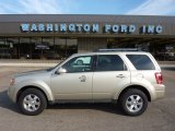 2010 Gold Leaf Metallic Ford Escape Limited V6 4WD #50151023