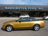 2010 Sunset Gold Metallic Ford Mustang V6 Premium Convertible #50186294