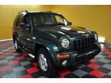 2002 Shale Green Metallic Jeep Liberty Limited 4x4 #50231228