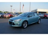 2012 Ford Focus Frosted Glass Metallic