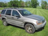 1999 Champagne Pearl Jeep Grand Cherokee Laredo 4x4 #50231296