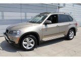 2008 BMW X5 3.0si