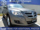 2011 Alpine Gray Metallic Volkswagen Tiguan S #50268665