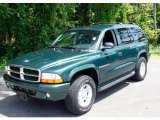 2001 Forest Green Pearl Dodge Durango SLT 4x4 #50329320