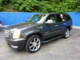 2010 Galaxy Gray Cadillac Escalade Luxury AWD #50329968