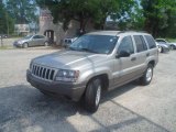 2004 Light Pewter Metallic Jeep Grand Cherokee Laredo #50329875