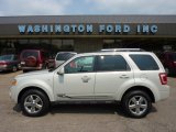 2008 Light Sage Metallic Ford Escape Limited 4WD #50380498