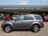 2009 Sterling Grey Metallic Ford Escape Limited V6 4WD #50380501