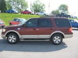 Dark Copper Metallic Ford Expedition in 2006