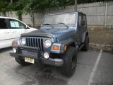 1999 Gunmetal Pearlcoat Jeep Wrangler SE 4x4 #50380461