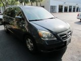 2005 Midnight Blue Pearl Honda Odyssey EX-L #50463014