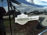 2006 Ford F150 Harley-Davidson SuperCab Marks and Logos