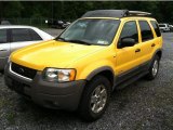 2002 Chrome Yellow Ford Escape XLT V6 4WD #50501965