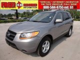 2008 Hyundai Santa Fe GLS