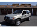 2003 Gold Ash Metallic Ford Escape XLT V6 4WD #50601388