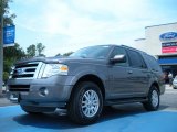 2011 Sterling Grey Metallic Ford Expedition XLT #50648881