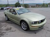Legend Lime Metallic Ford Mustang in 2005