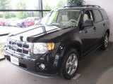 2011 Ford Escape XLT V6 4WD