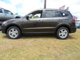 Espresso Brown Hyundai Santa Fe in 2011