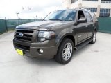 2008 Ford Expedition Limited Front 3/4 View