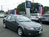 2008 Polished Metal Metallic Acura TL 3.2 #50768696