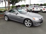 2012 Paladium Silver Metallic Mercedes-Benz SLK 350 Roadster #50828257