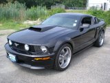 2007 Ford Mustang GT Premium Coupe Data, Info and Specs
