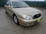 2004 Desert Sand Hyundai Sonata  #50870524