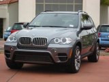 2012 Space Gray Metallic BMW X5 xDrive50i #50870376