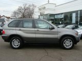 2006 Stratus Grey Metallic BMW X5 3.0i #5079593