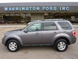 2010 Sterling Grey Metallic Ford Escape Limited V6 4WD #50912383