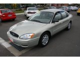 2006 Ford Taurus SE