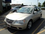 2010 Hyundai Sonata GLS