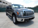 2011 Sterling Grey Metallic Ford F150 Texas Edition SuperCrew 4x4 #50998358