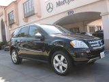 2009 Mercedes-Benz ML 350 4Matic