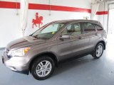 2010 Urban Titanium Metallic Honda CR-V EX-L #50997931