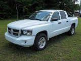 2011 Bright White Dodge Dakota Big Horn Crew Cab #50998795