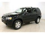 2007 Ford Escape Limited 4WD Front 3/4 View