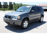 2006 Dark Shadow Grey Metallic Ford Escape Limited 4WD #51079258