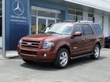 Dark Copper Metallic Ford Expedition in 2008