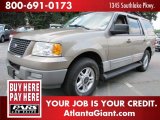 2003 Arizona Beige Metallic Ford Expedition XLT #51080168