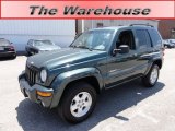 2002 Shale Green Metallic Jeep Liberty Limited 4x4 #51133911