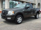 2005 Ford F150 STX Regular Cab 4x4 Front 3/4 View