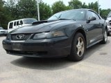 2003 Black Ford Mustang V6 Coupe #51133971
