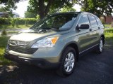 2007 Green Tea Metallic Honda CR-V EX 4WD #51134135
