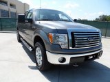 2011 Sterling Grey Metallic Ford F150 Texas Edition SuperCrew 4x4 #51134163