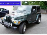 2003 Shale Green Metallic Jeep Wrangler Sahara 4x4 #51188639