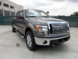 2011 Sterling Grey Metallic Ford F150 Texas Edition SuperCrew 4x4 #51189025